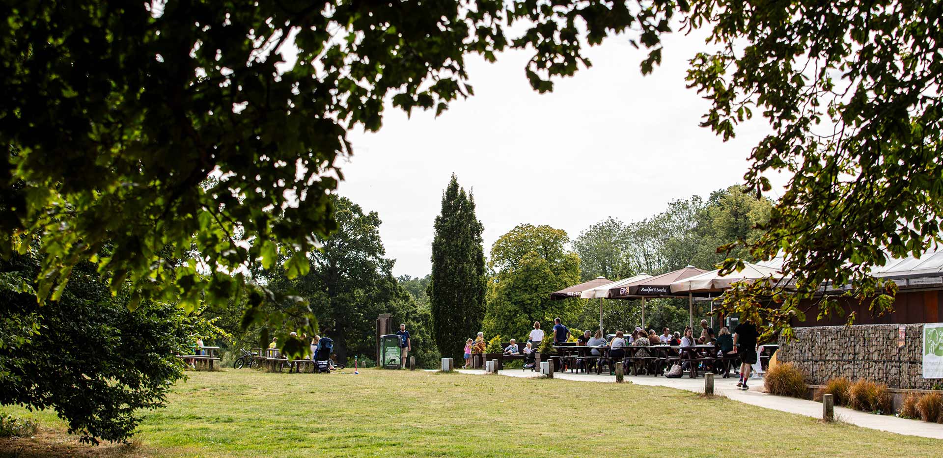 An image of open green space at The Exchange Watford