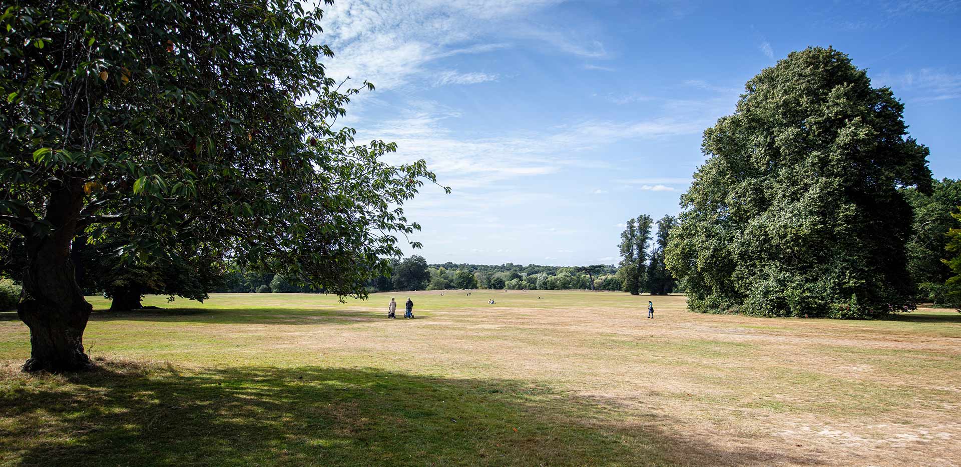 An image of open green space at The Exchange Watford