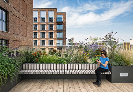 An exterior roof top garden image