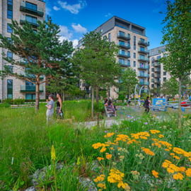 The Green Quarter residents' garden area
