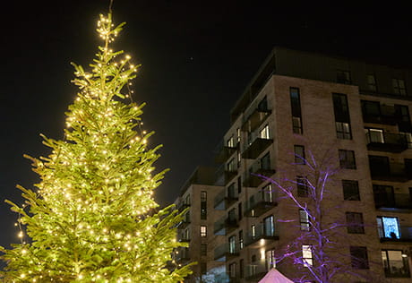 Image of christmas tree glowing in the night outside The Green Quarter