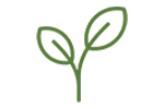 A plant icon