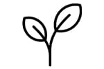 Icon of a leaf