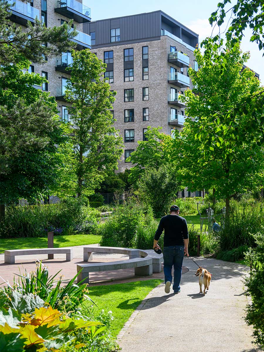 A local resident walking his dog around The Green Quarter