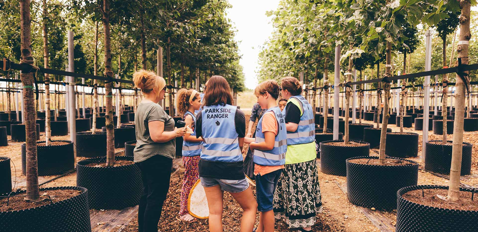 An image of the tree nursery at Parkside Yards