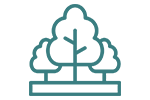 An icon of a woodland