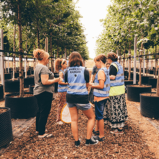An Image of People Surrounded by Potted Trees