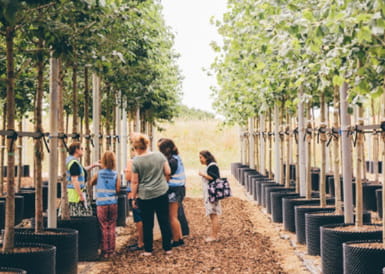 Parkside Yards: A Place for Residents to Eat, Socialise and Relax