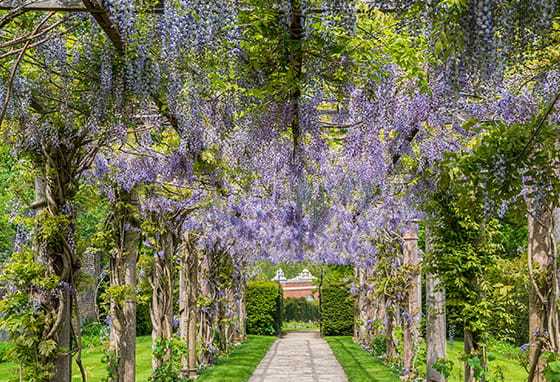 Photo of the gardens around Trent Park