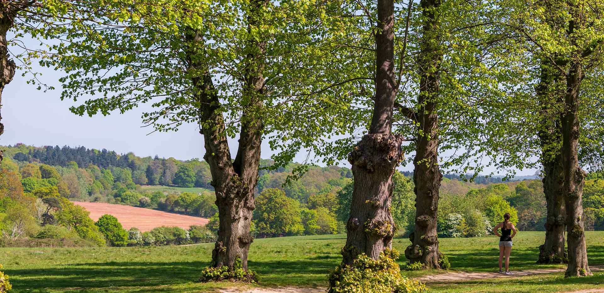 Berkeley, Trent Park, Landscaping
