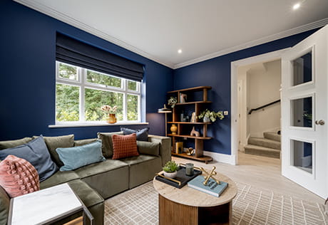 Trent Park - Fully furnished showhome, cosy lounge area with a royal blue theme