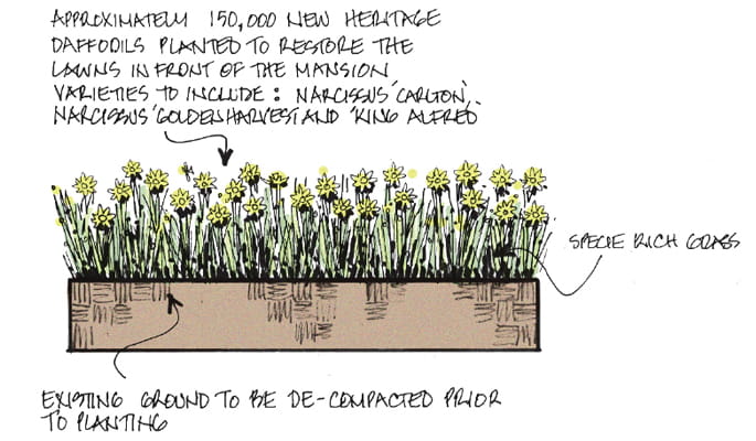 Trent Park, Landscaping Vision, Daffodil Lawn