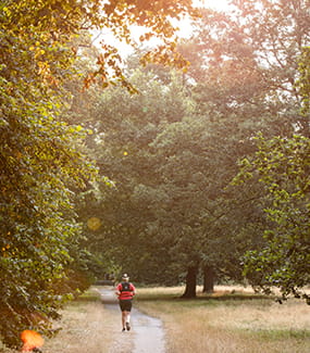 Trillium green spaces