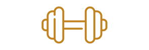 An icon of a gym weight