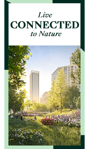 TwelveTrees Park - Live Connected to Nature