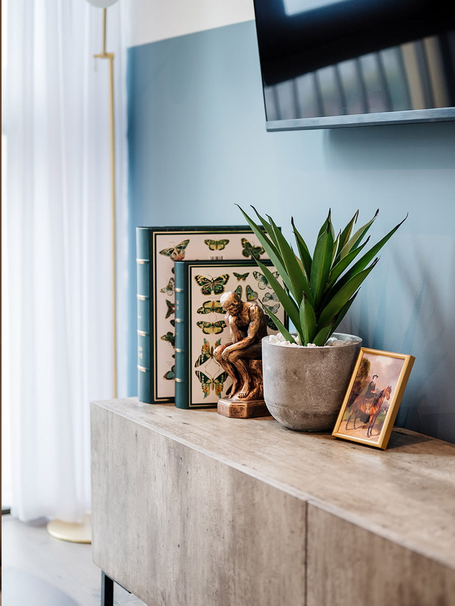 Close up shot of living area home details