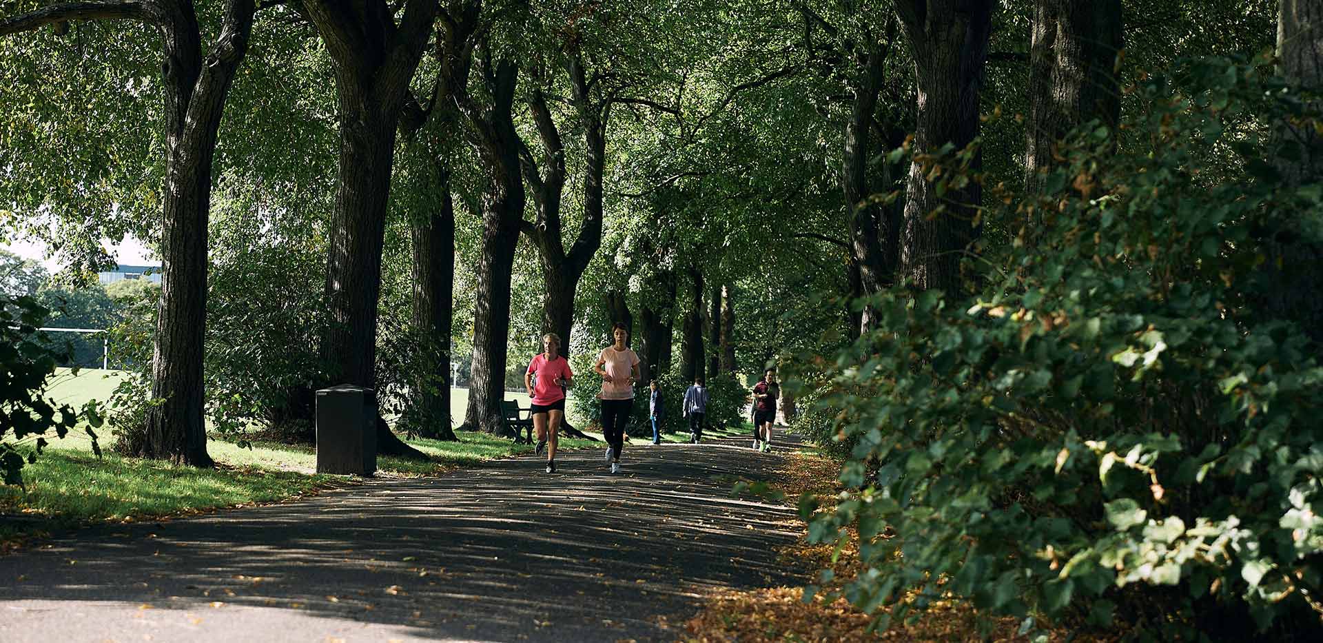 An image of the Wandsworth Local Area