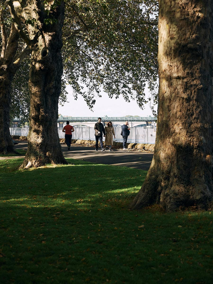 An image of the Wandsworth Local Area