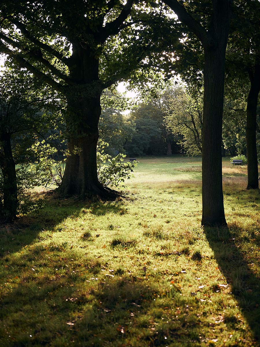 An image of the Wandsworth Local Area