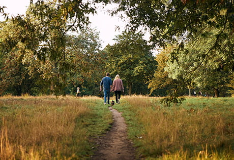 An image of a couple walking in the park