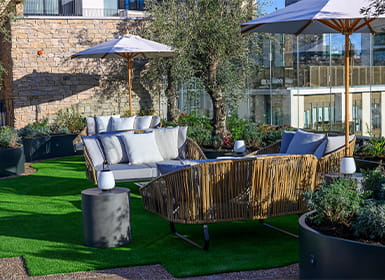 An image of the Olive Grove at White City Living