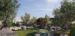 Resident's Facilities - outdoor tranquil olive grove seating area