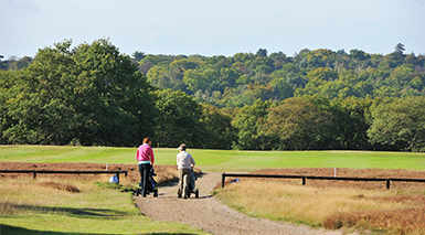 Berkeley, Wimbledon Hill Park