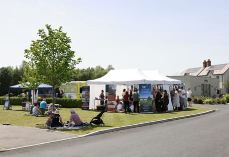 A gazebo filled with people enjoying the outdoor setting on a sunny day