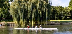 An image of rowers rowing down the river