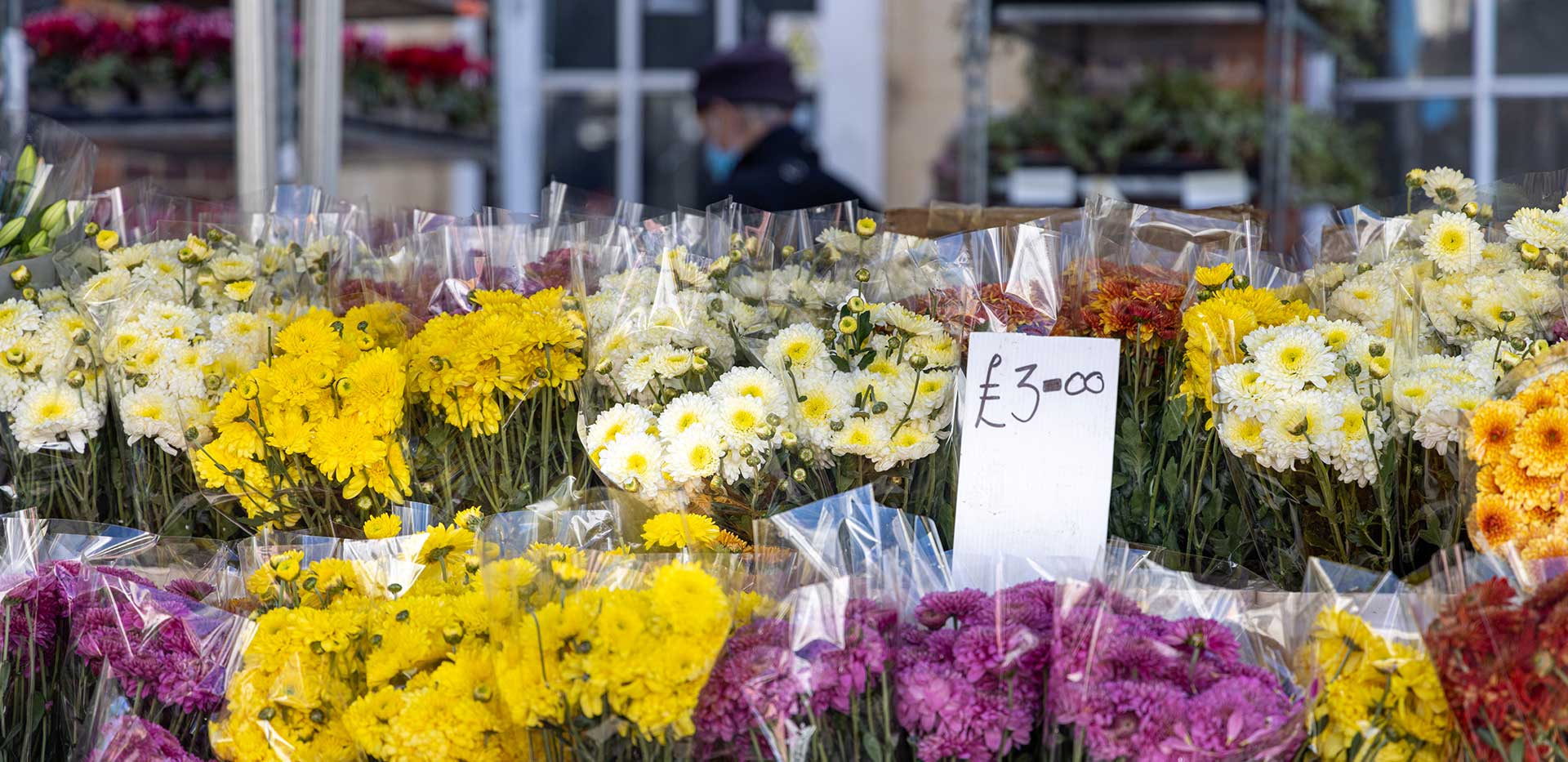 An image of flowers at a local florist