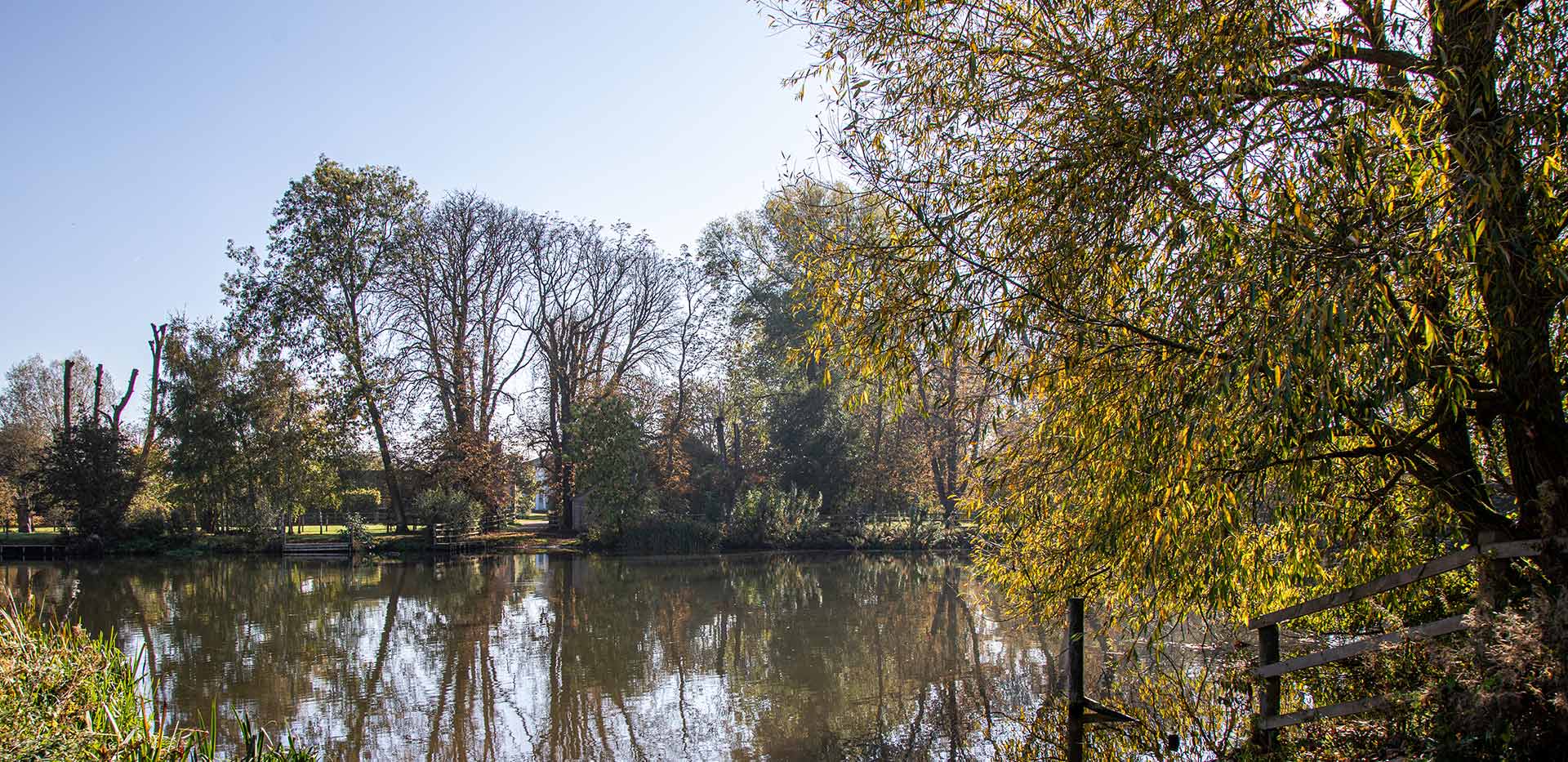A beautiful image of a river with large trees and wildlife