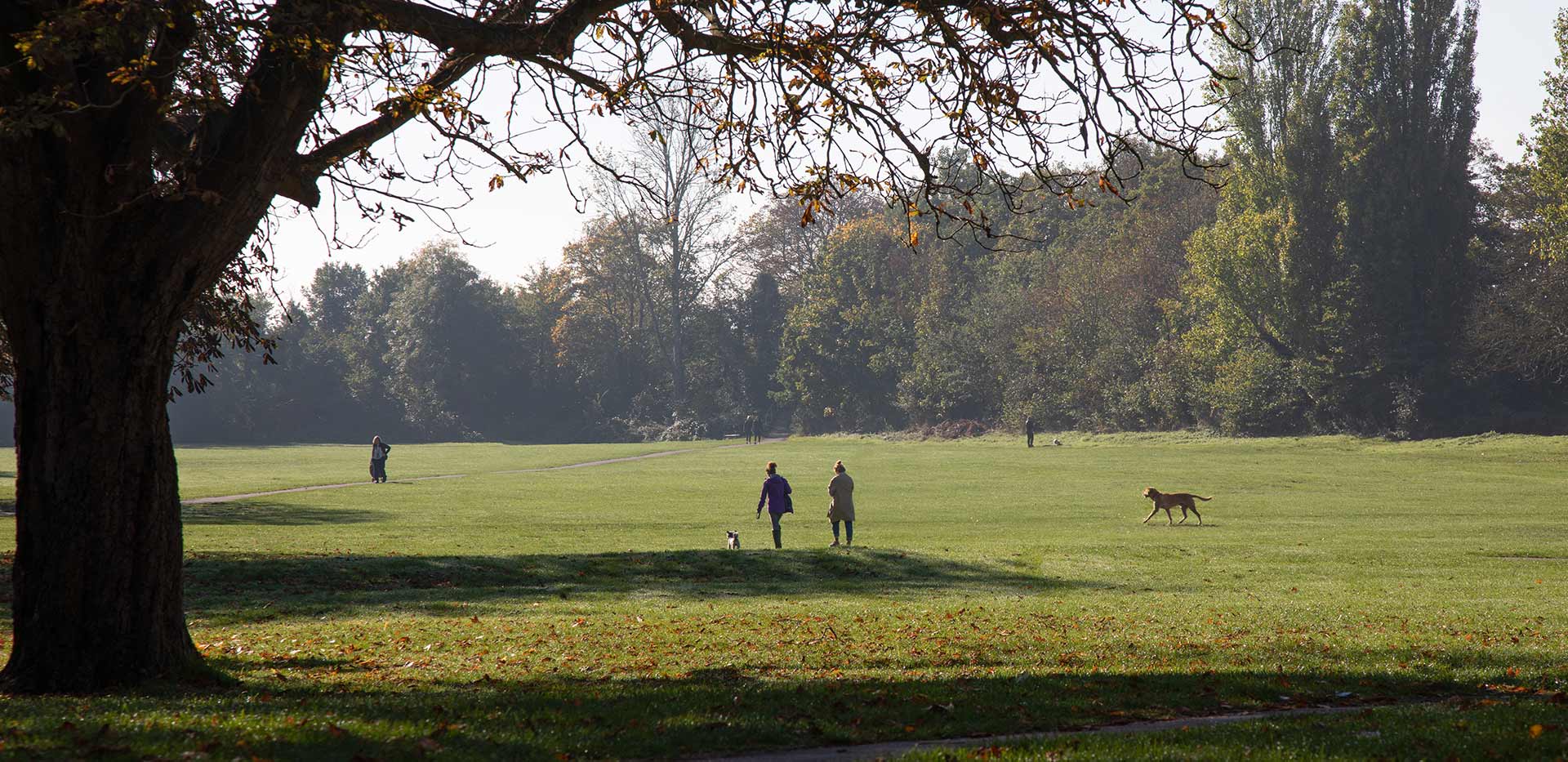 A large open field with people walking their dogs