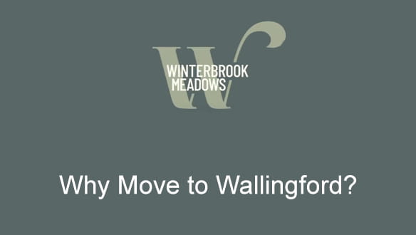 Why Move to Wallingford?