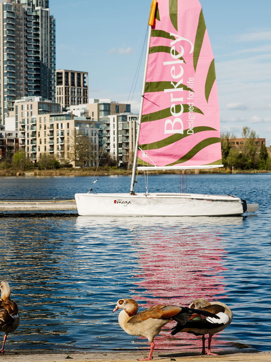 A boat on water with Berkeley logo branding on the sail, ducks in the foreground.