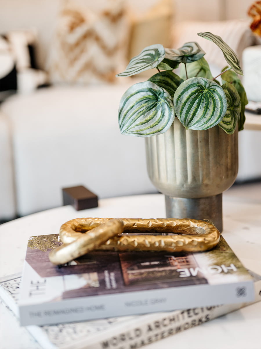 An interior Living Area Coffee Table image at Woodberry Down