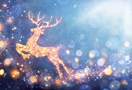 Image of a Christmas reindeer