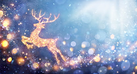 Image of a Christmas reindeer