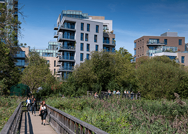 Celebrating London Rivers Week at Woodberry Down