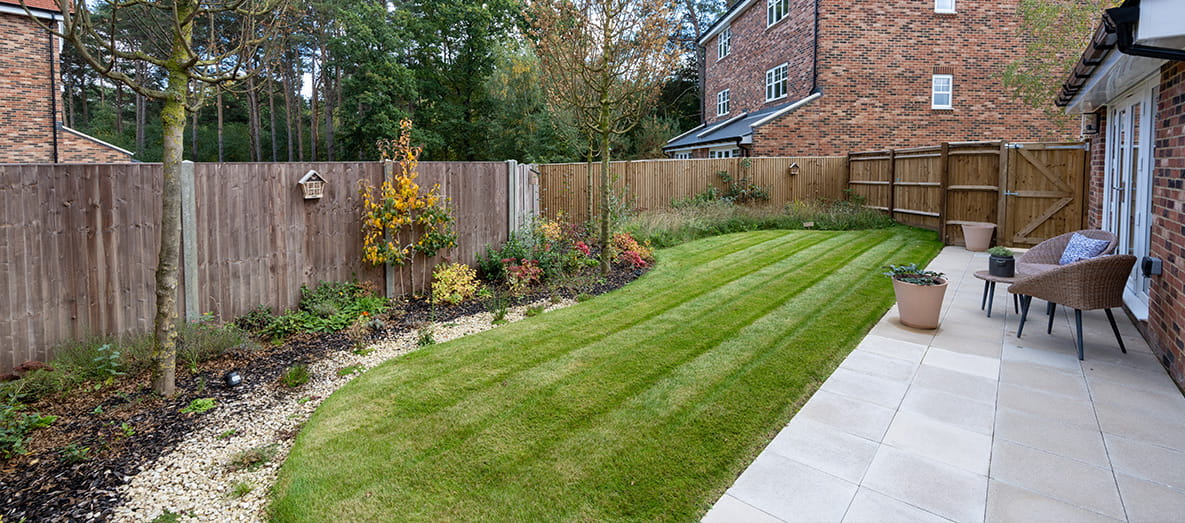 Innovative Biodiversity Garden Opens at Hartland Village, Hampshire