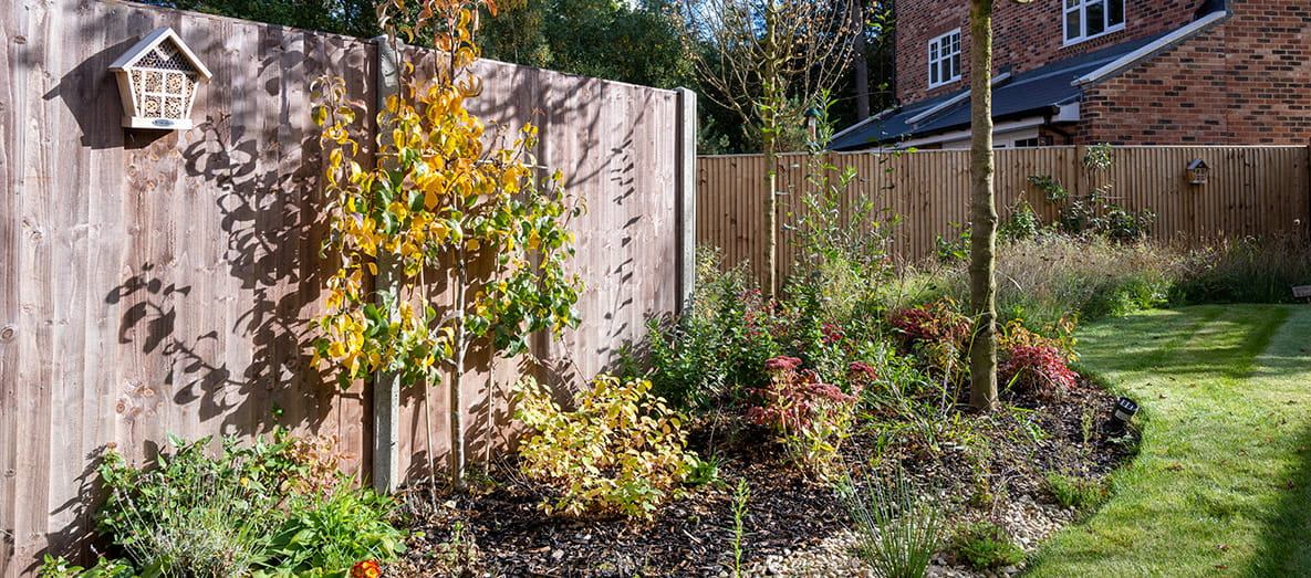 Innovative Biodiversity Garden Opens at Hartland Village, Hampshire