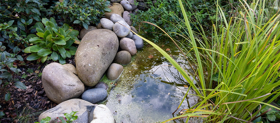Innovative Biodiversity Garden Opens at Hartland Village, Hampshire
