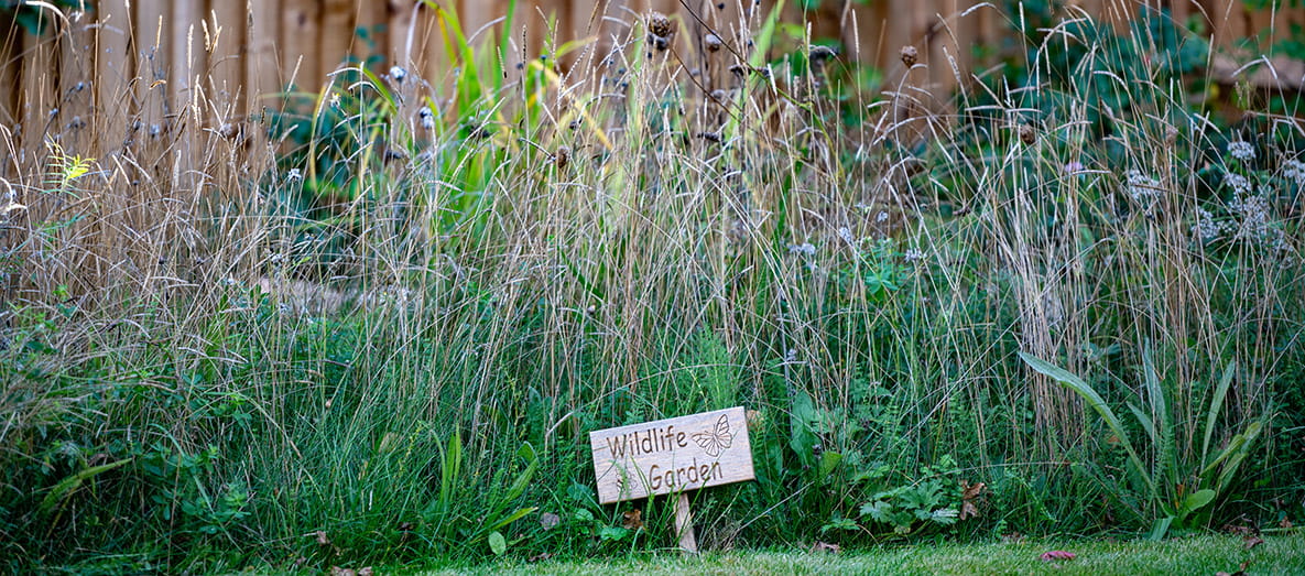 Innovative Biodiversity Garden Opens at Hartland Village, Hampshire