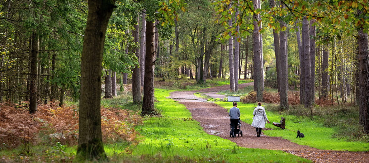 Hartland Country Park Granted Prestigious Green Flag
