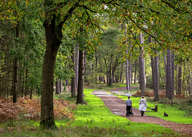 Hartland Country Park Granted Prestigious Green Flag