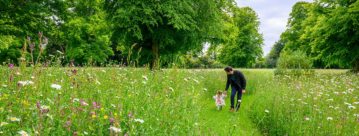 Image of a Father walking his young Daughter through a beautiful meadow