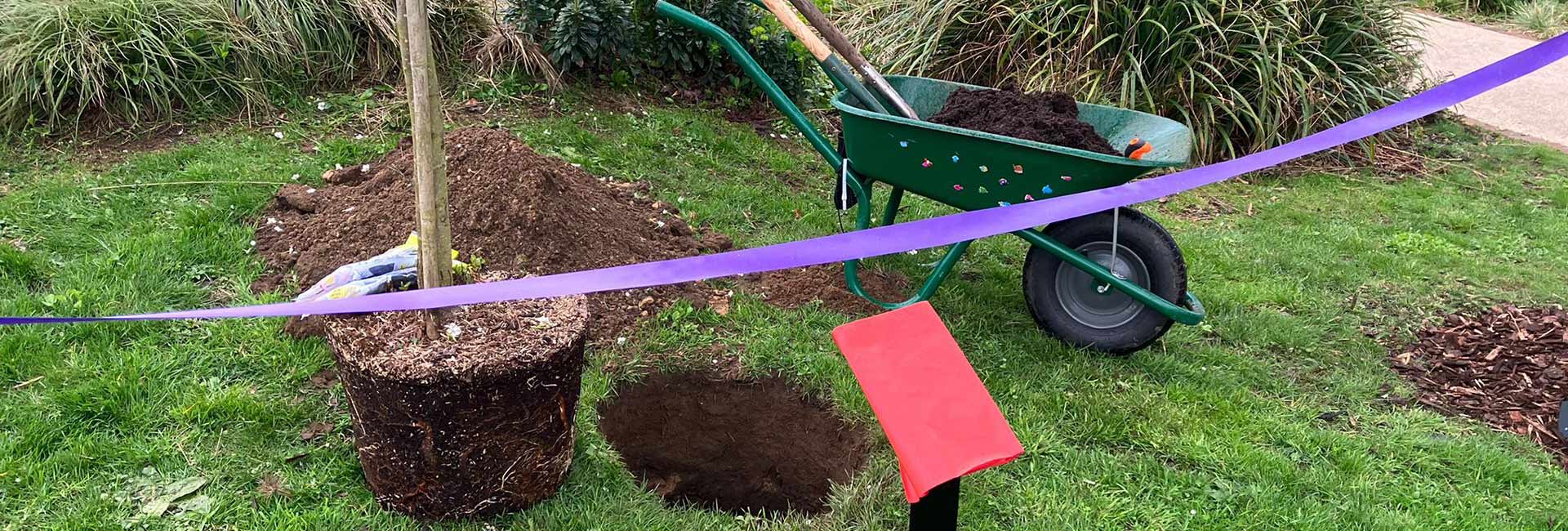 Planting trees for a sustainable future: The Queen’s Green Canopy initiative at The Green Quarter | News and Insights