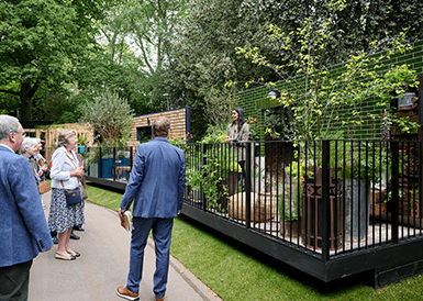 RHS Chelsea Flower Show Gold Medal Balcony Garden to Move to Chelsea Creek