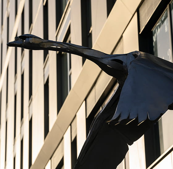 Bird statue at Eden Grove