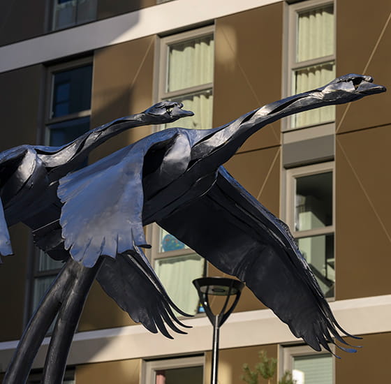 Bird statue outside of Eden Grove