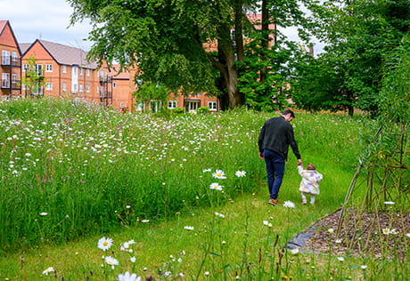 An image of a family walking through a field at Abbey Barn Park